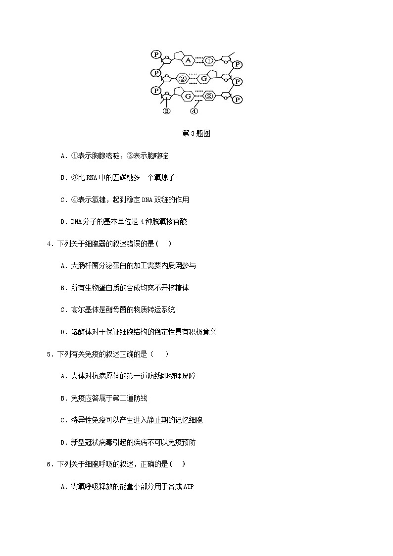 2021浙江省“山水联盟”高三上学期开学考试生物试题含答案02