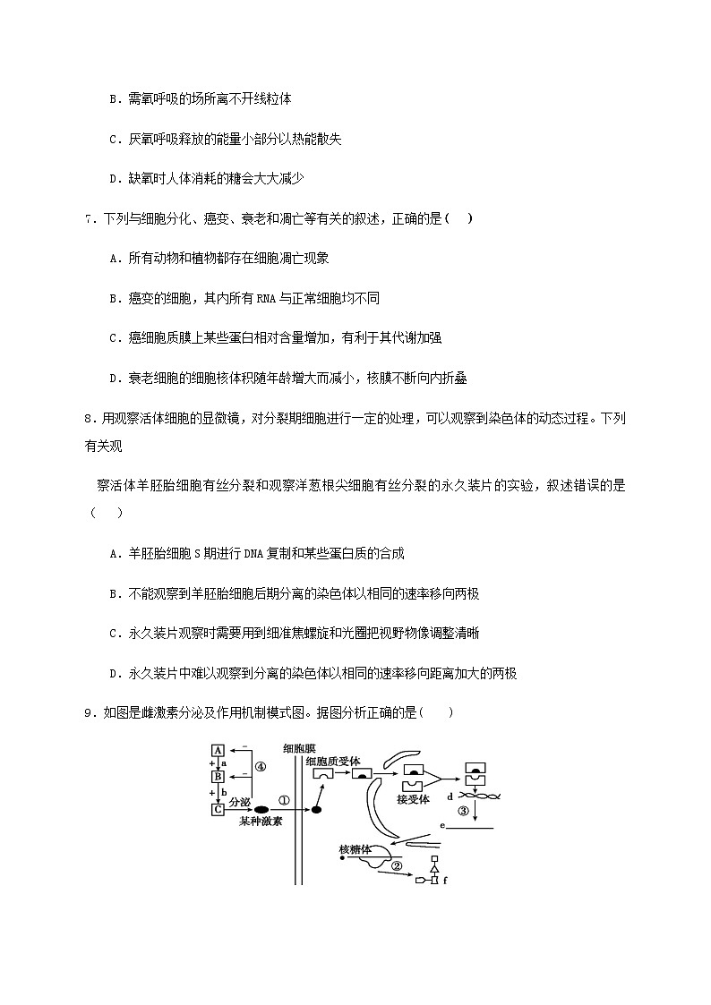 2021浙江省“山水联盟”高三上学期开学考试生物试题含答案03