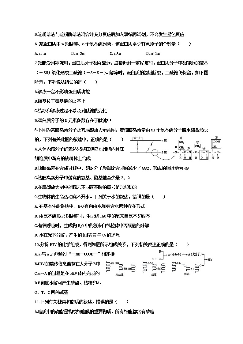 2021省牡丹江一中高三上学期开学考试生物试题含答案第2页