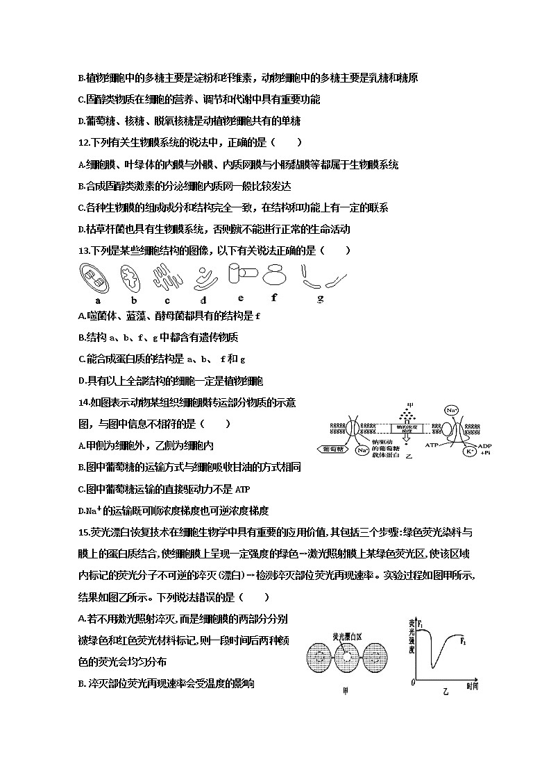 2021省牡丹江一中高三上学期开学考试生物试题含答案第3页