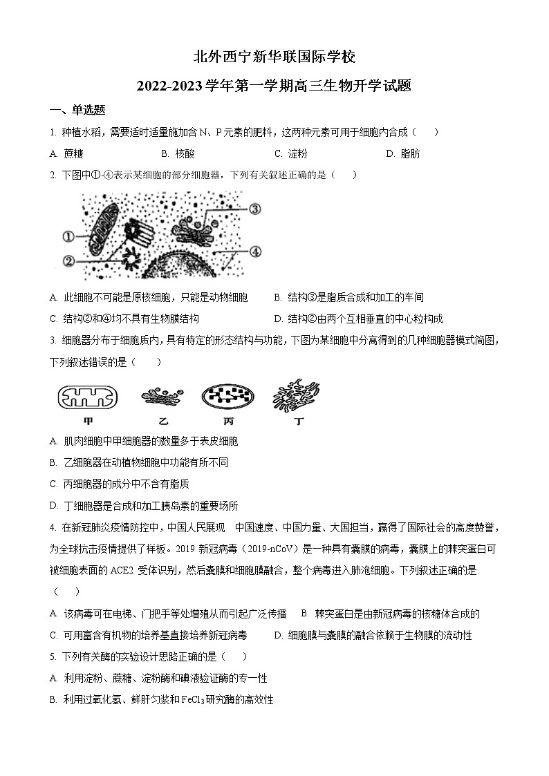 青海省西宁北外附属新华联外国语高级中学2022-2023学年高三上学期开学考试生物试题无答案第1页