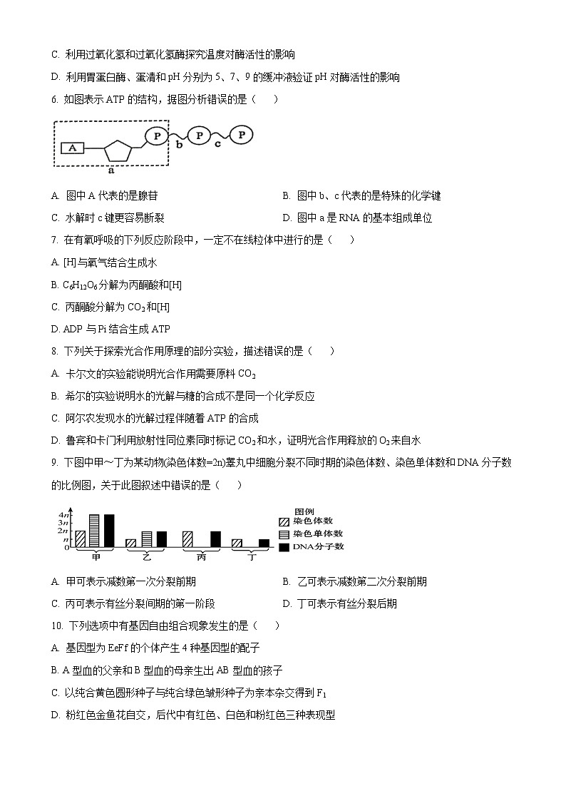 青海省西宁北外附属新华联外国语高级中学2022-2023学年高三上学期开学考试生物试题无答案第2页
