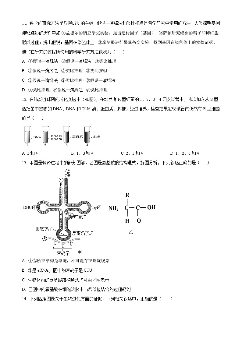 青海省西宁北外附属新华联外国语高级中学2022-2023学年高三上学期开学考试生物试题无答案第3页