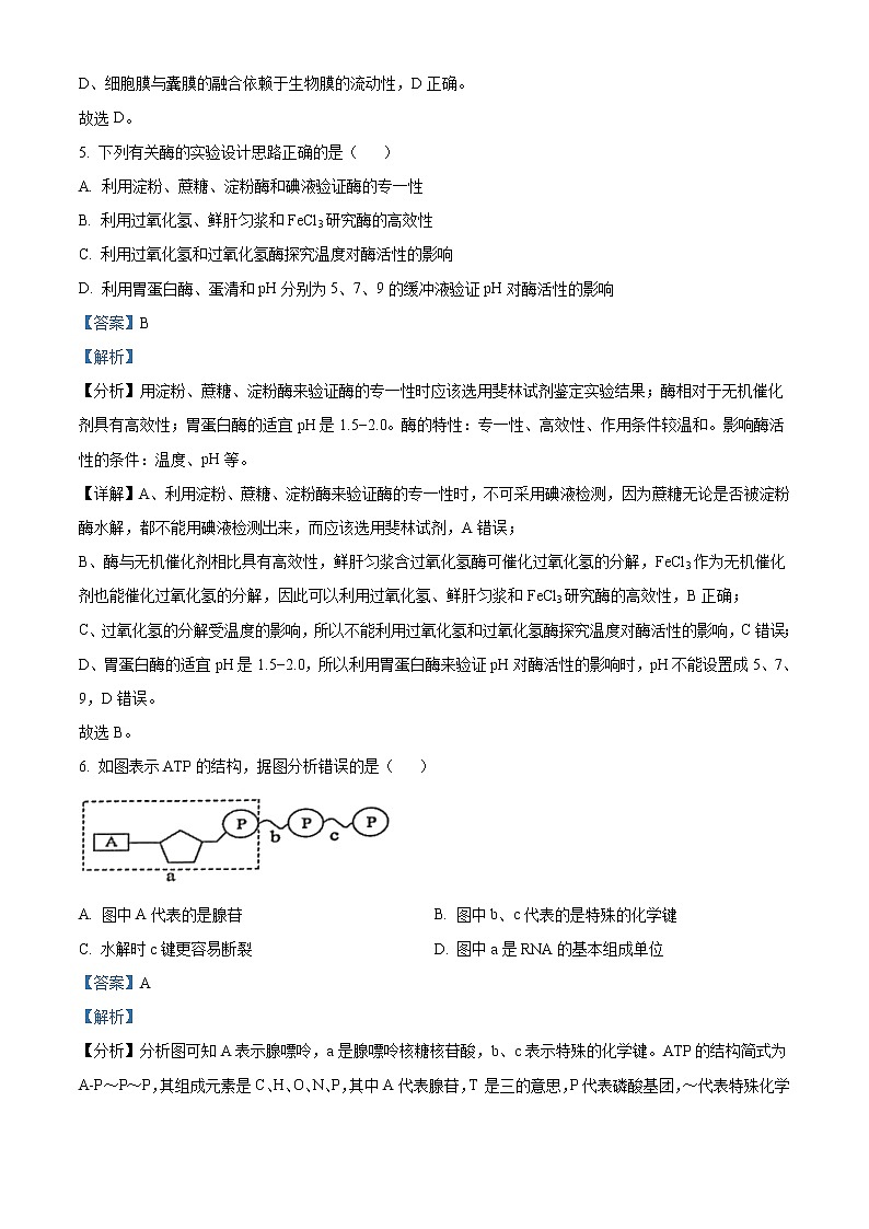 青海省西宁北外附属新华联外国语高级中学2022-2023学年高三上学期开学考试生物试题含解析第3页