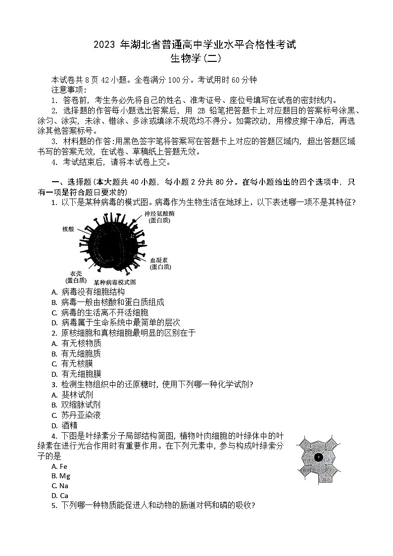 2023湖北省普通高中学业水平合格性考试模拟生物试题(二)含答案第1页
