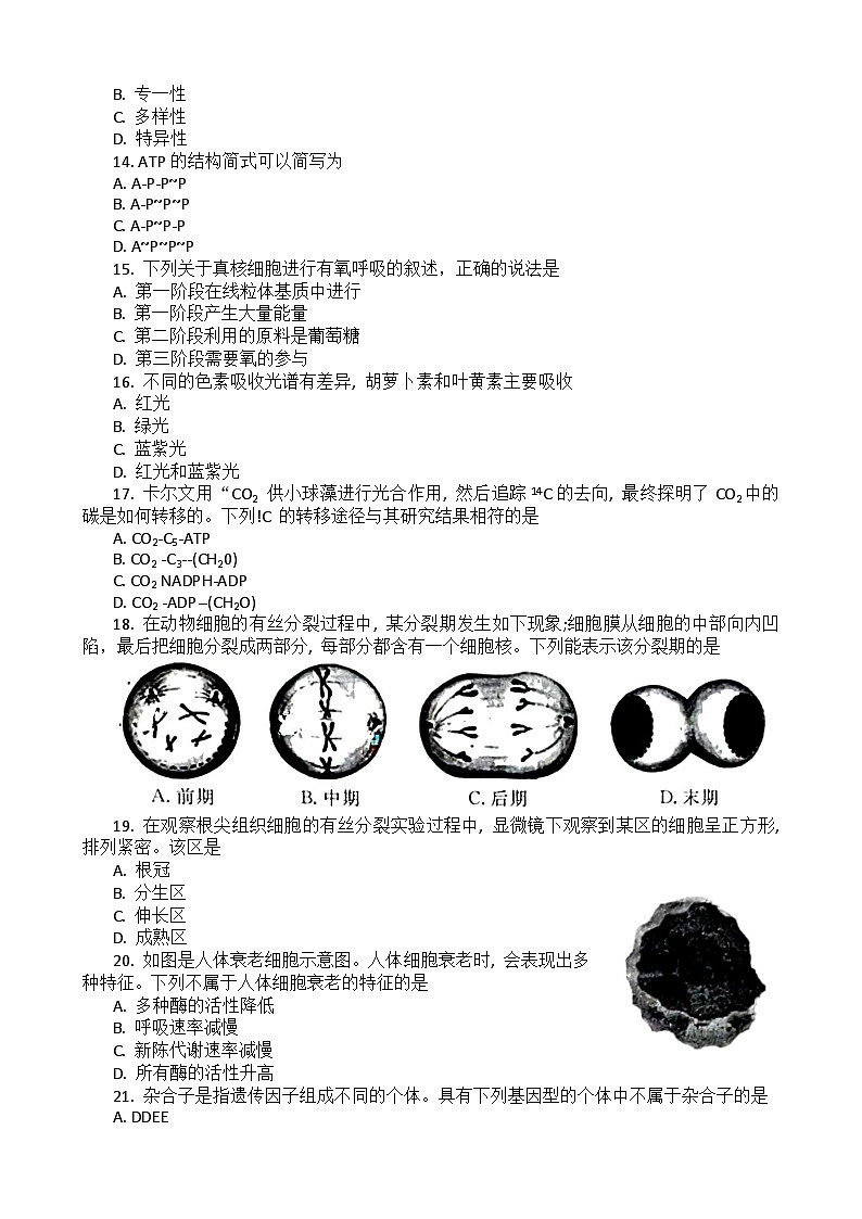 2023湖北省普通高中学业水平合格性考试模拟生物试题(二)含答案第3页
