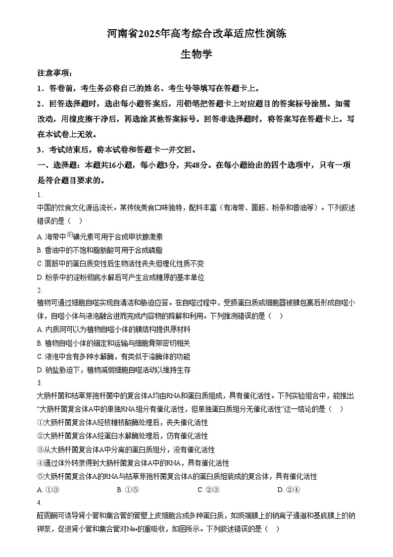 2025年1月普通高校适应性测试河南生物无答案第1页