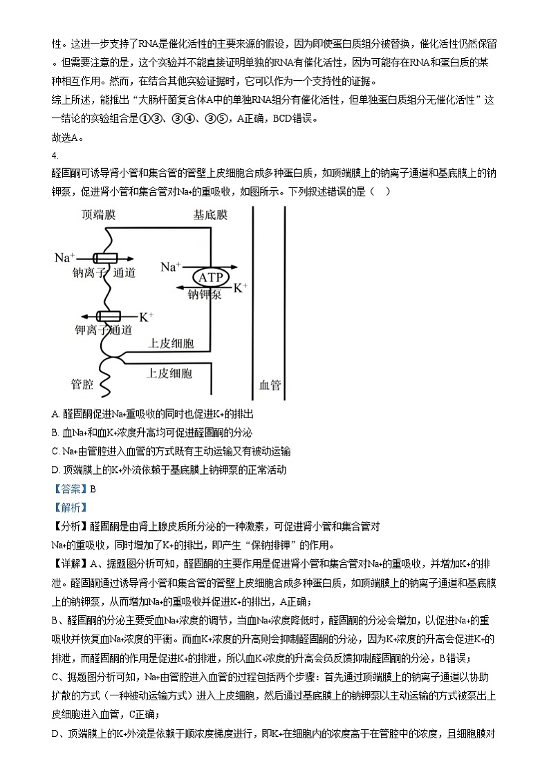 2025年1月普通高校适应性测试河南生物含解析第3页