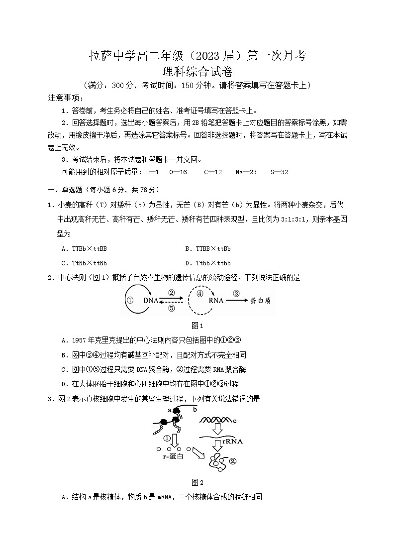 西藏自治区拉萨中学2021-2022学年高二上学期第一次月考理综试题 含答案第1页