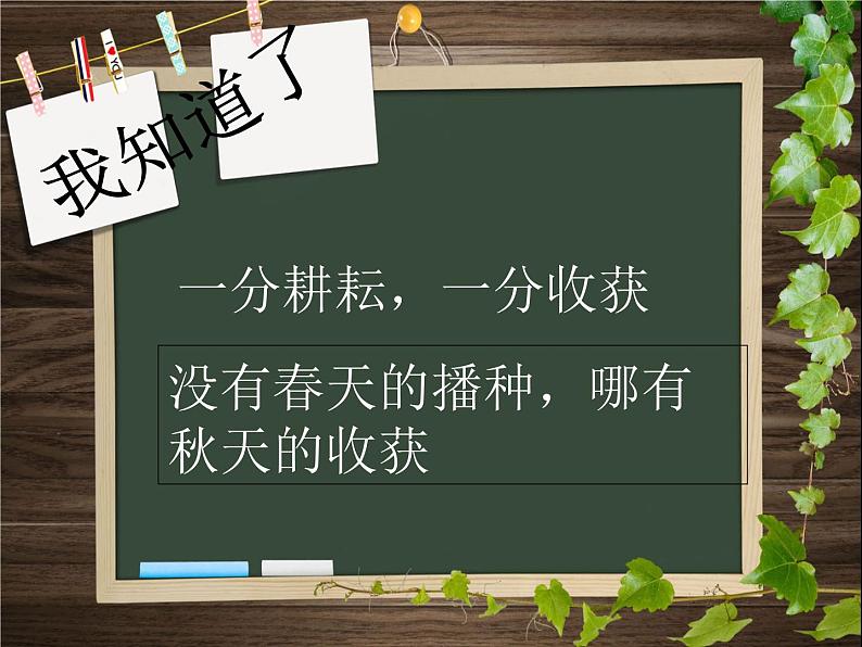 班会课件推荐-努力才会有收获第4页