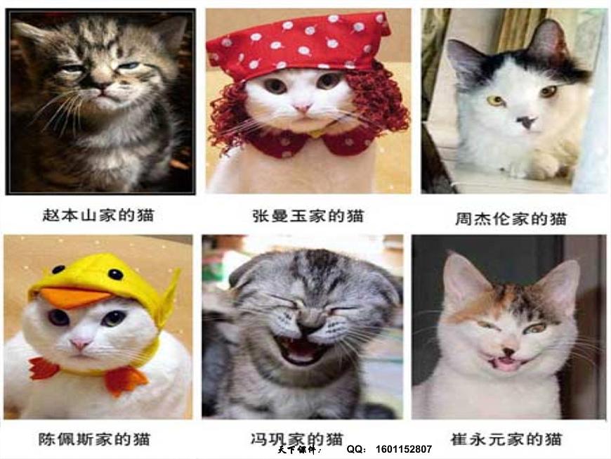班會(huì)課件推薦-生命教育第3頁