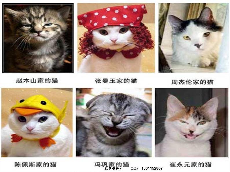 班会课件推荐-生命教育第3页