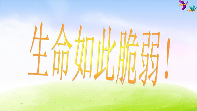 小学生主题班会课件之安全出行第2页