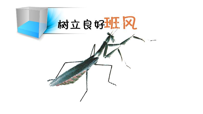 班风学风建设主题班会精品课件第6页
