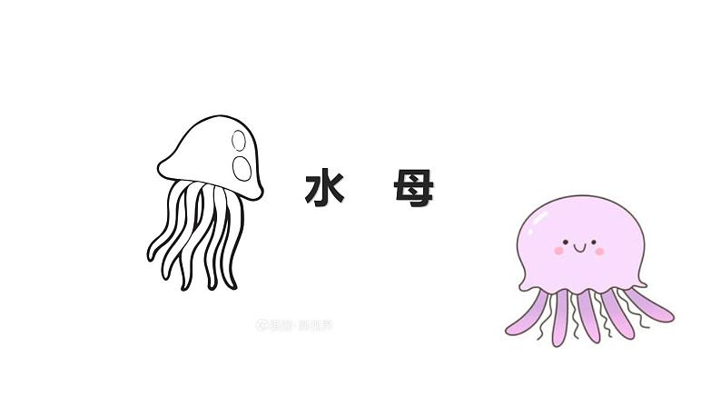 1 《水母》课件课后服务 美术社团活动第1页