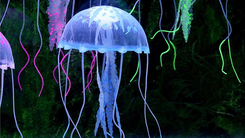 1 《水母》课件课后服务 美术社团活动第4页
