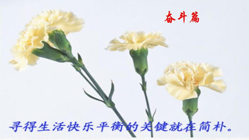 中小學生勵志主題班會課件《奮斗成就夢想》第3頁