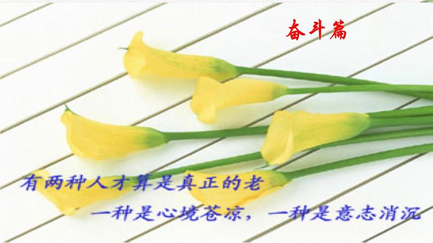 中小學生勵志主題班會課件《奮斗成就夢想》第8頁