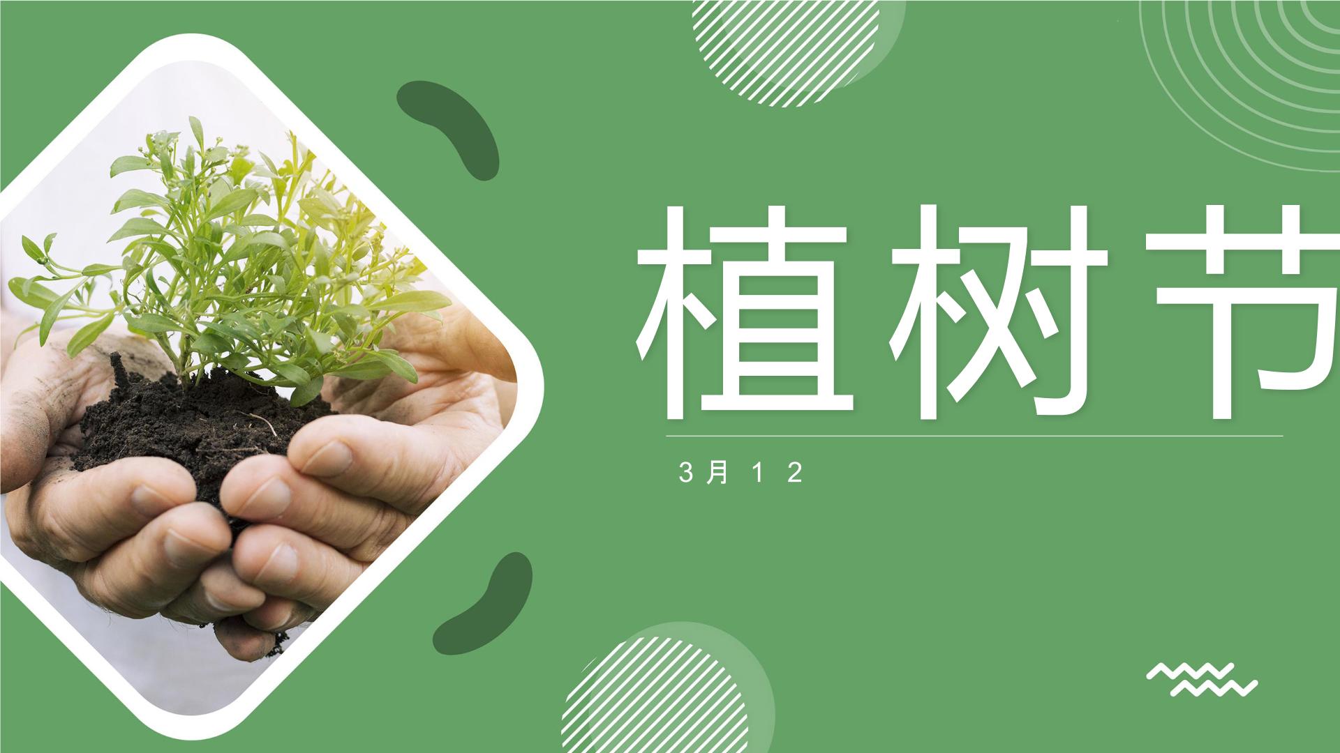 中小学【节日主题】【植树节】班会通用精品模板PPT课件（十三）