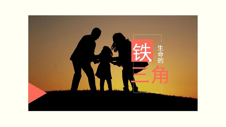 初中-班会-家长会-家庭教育的类型 课件05