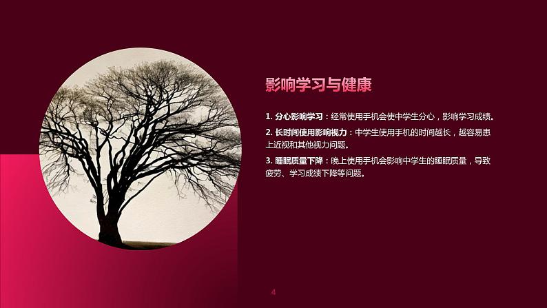 手机对中学生的危害——警惕沉迷与影响成长课件PPT04