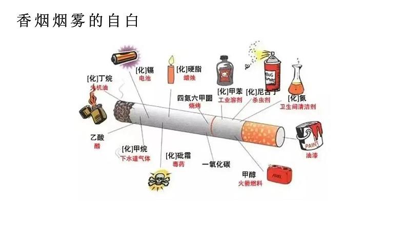 青春花季 拒绝吸烟 世界无烟日,每天都是无烟日——禁烟主题班会课件第5页