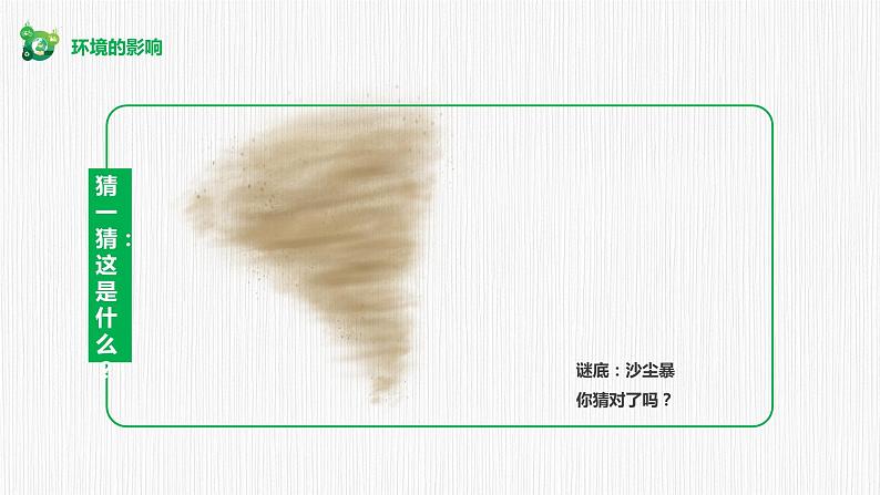 保护环境 从我做起(世界环境日)课件PPT07