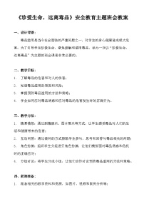 《珍爱生命，远离毒品》安全教育主题班会教案