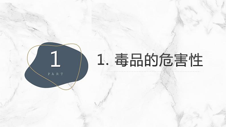 远离毒品,珍爱生命主题班会课件03