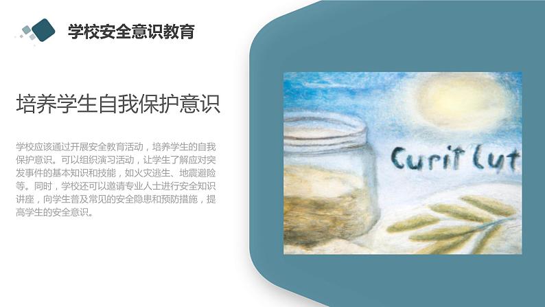 平安与我同行学生安全系列主题班会通用课件第5页