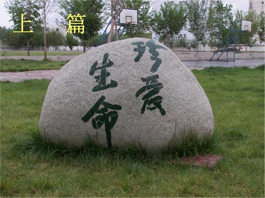 《珍惜生命 關(guān)愛他人》主題班會課件第6頁
