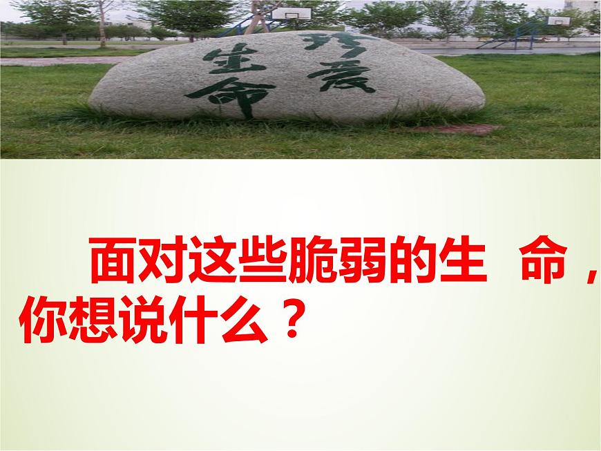 《珍惜生命 關(guān)愛他人》主題班會課件第8頁