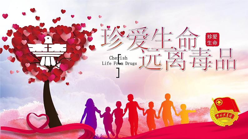 禁毒主题班会课件第1页