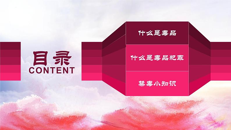禁毒主题班会课件第2页