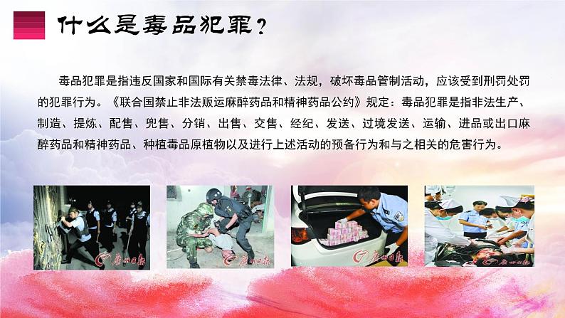 禁毒主题班会课件第7页