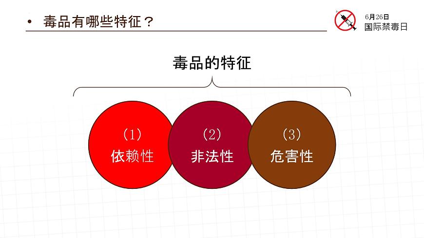禁毒主題教育班會課件第8頁