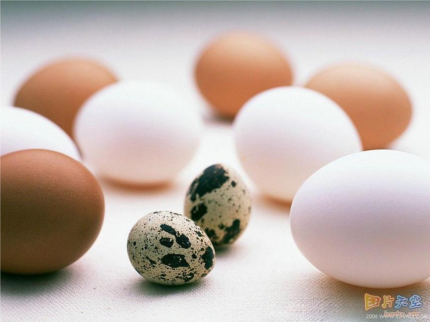 中小學心理健康教育主題班會課件《“珍惜生命，關愛生命”教育》第1頁