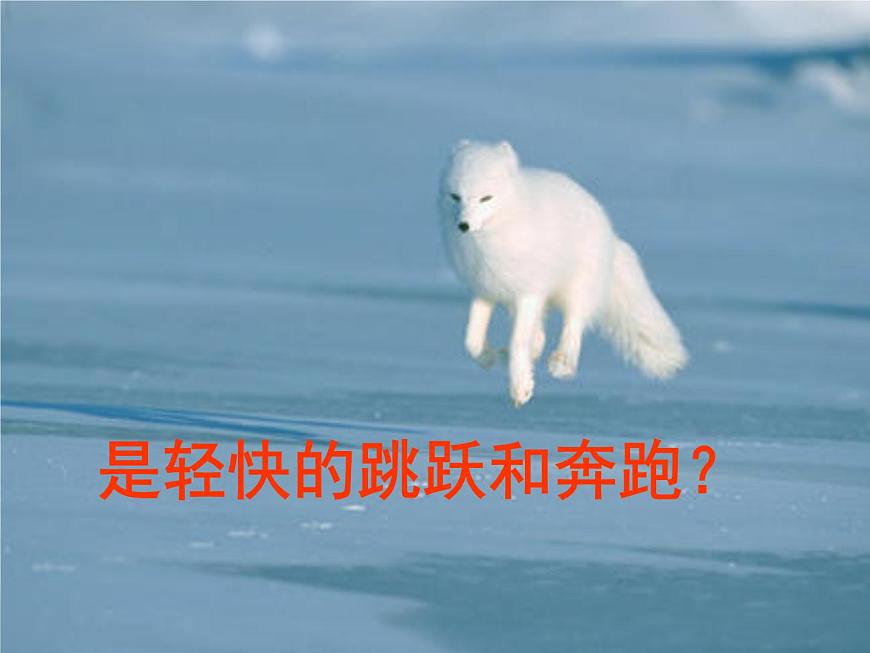 中小學心理健康教育主題班會課件《“珍惜生命，關愛生命”教育》第5頁