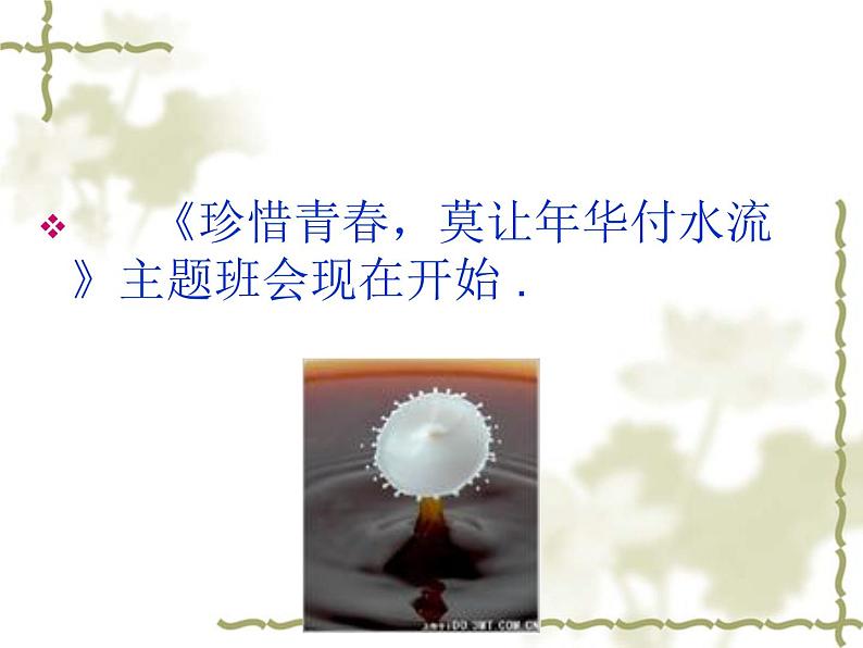 中小学时间管理主题班会课件《珍惜青春,莫让年华付水流》第5页