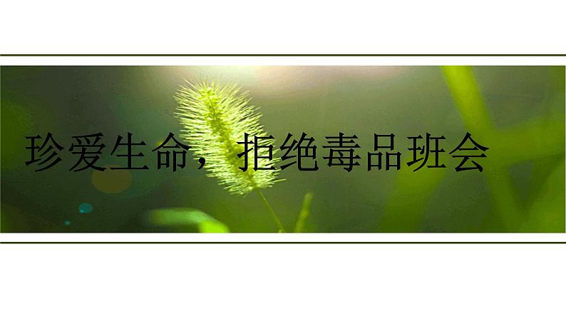 珍爱生命,拒绝毒品主题班会精品课件01