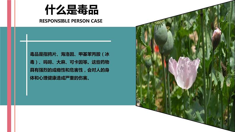珍爱生命,拒绝毒品主题班会精品课件02