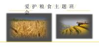 爱护粮食,珍惜粮食主题班会精品课件