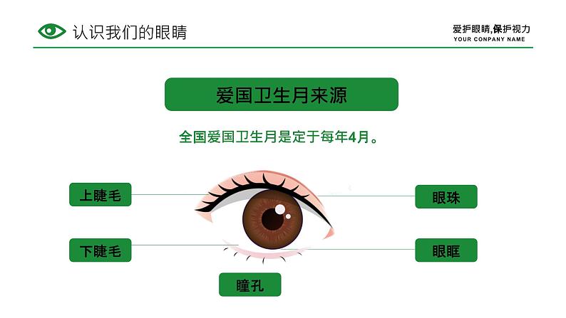 小学班会 爱护眼睛预防近视主题班会-----让“视界精彩无限 课件04