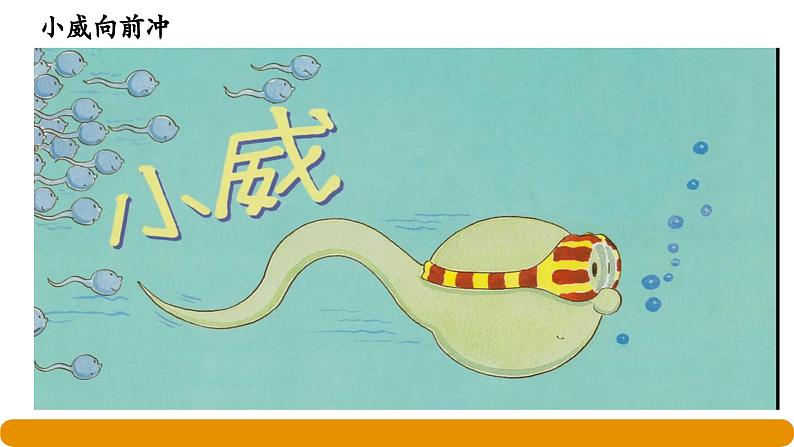 《青春期性教育(男生版)》课件第8页