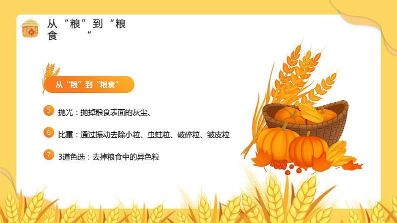 珍惜粮食,致敬耕耘-小学生节约粮食主题班会 课件06