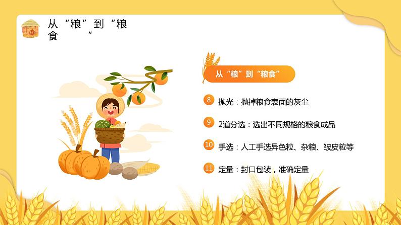 珍惜粮食,致敬耕耘-小学生节约粮食主题班会 课件07