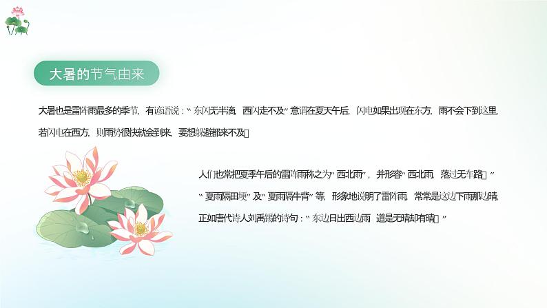 绿色小清新大暑节气介绍PPT模板第6页
