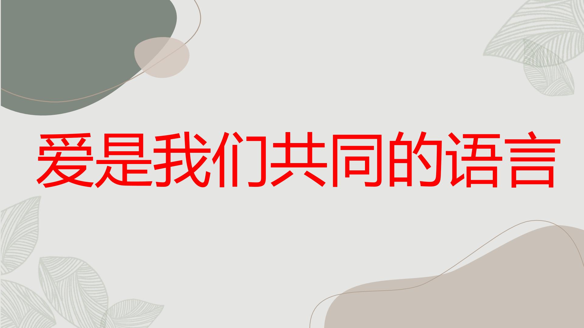 爱是我们共同的语言九年级主题班会通用课件