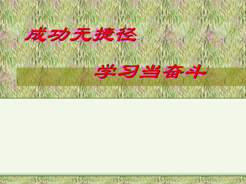 把握现在,决胜未来-主题班会课件06