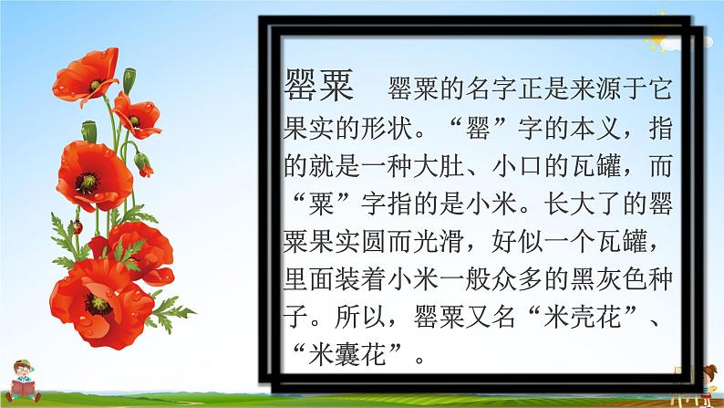 中小学主题班会队会活动《珍爱生命,远离毒品安全教育》教学课件公开课第4页